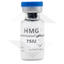 HMG 75IU Euro Image 2